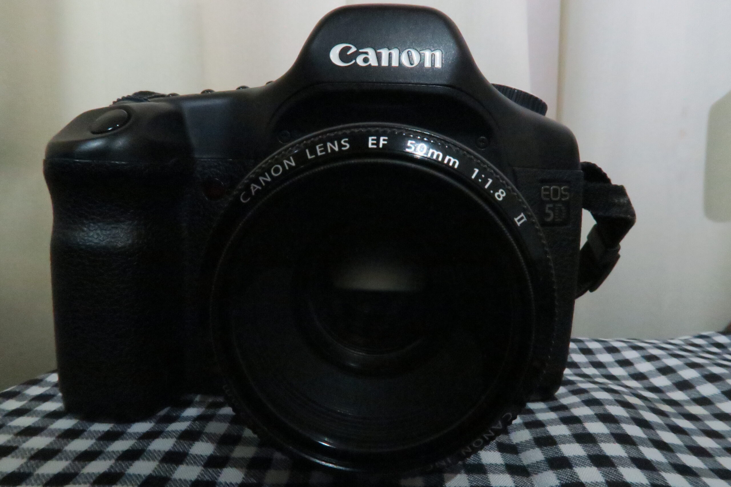 Canon EOS 5D（初代）+ EOS 5D プロフェッショナル写真術 - デジタルカメラ